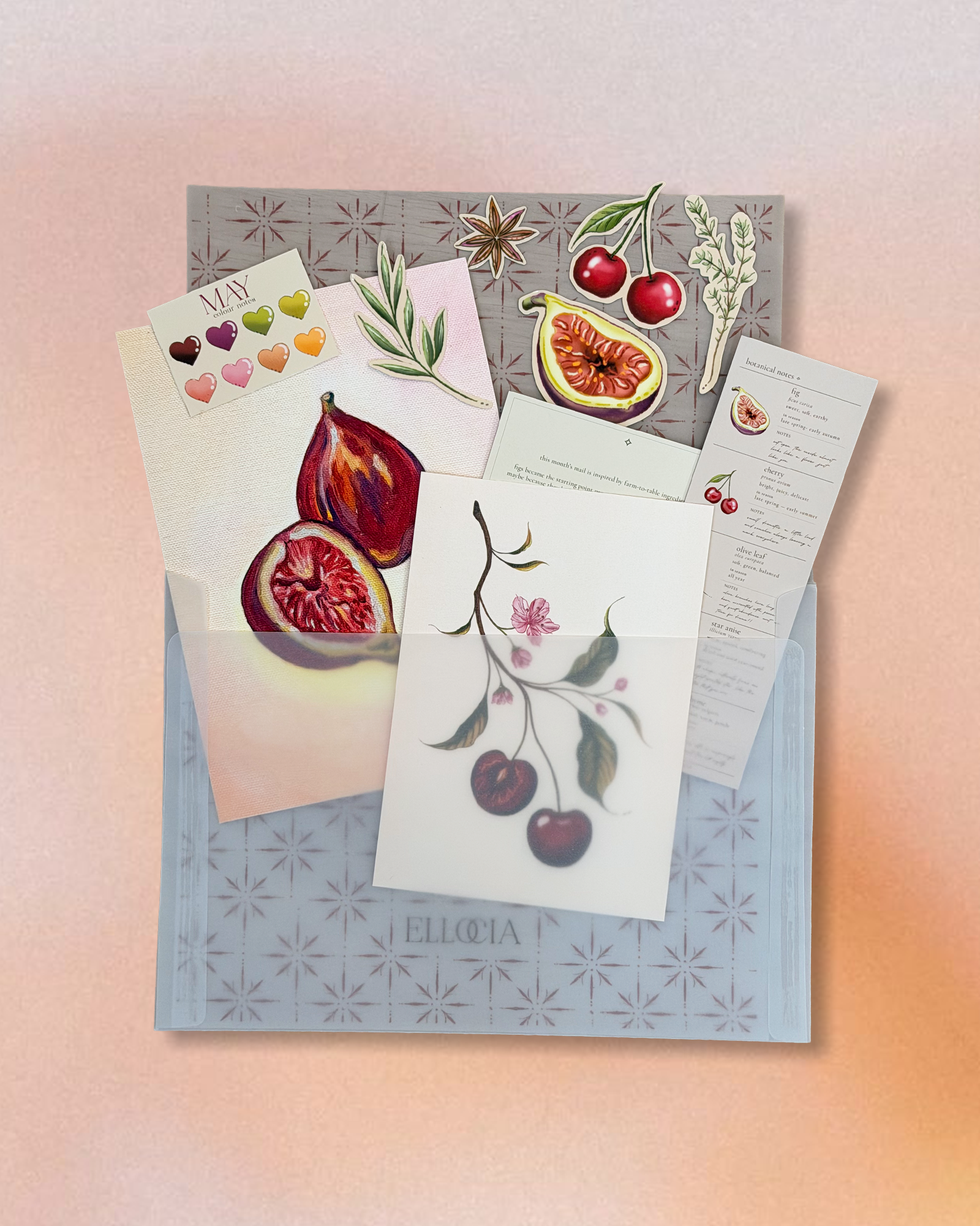 may edition — ELLOCIA art mail ⭑