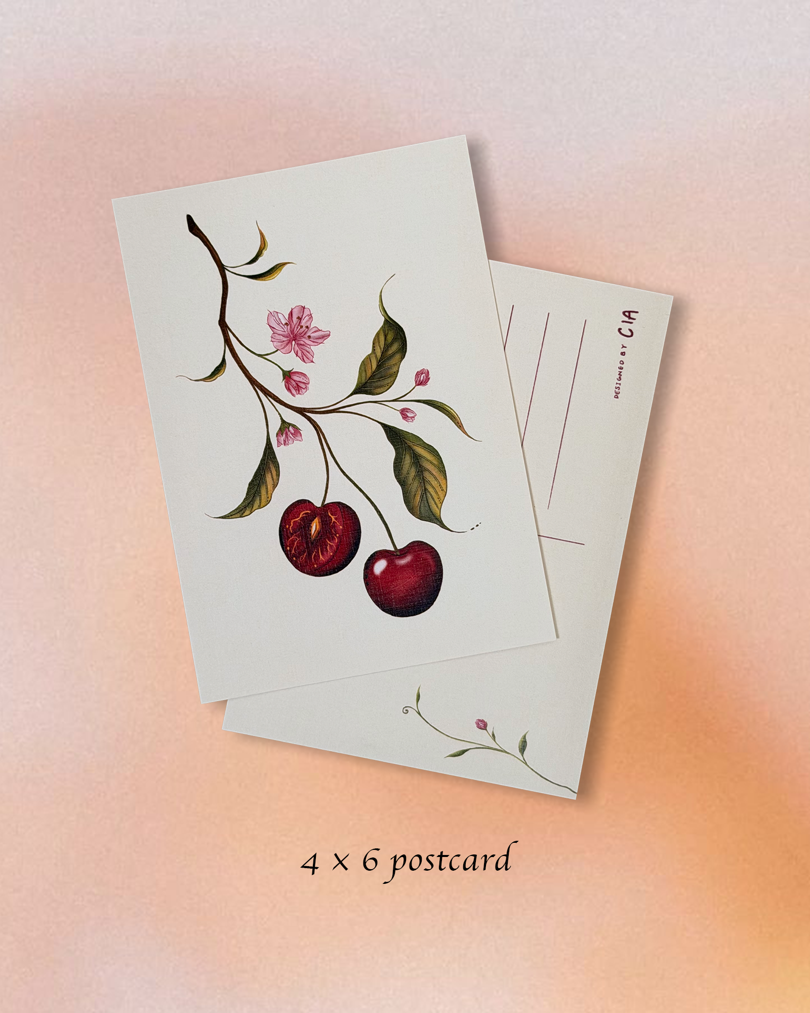 may edition — ELLOCIA art mail ⭑